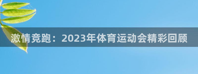 德国3377体育官方正版app集团:激情竞跑:2023年体育