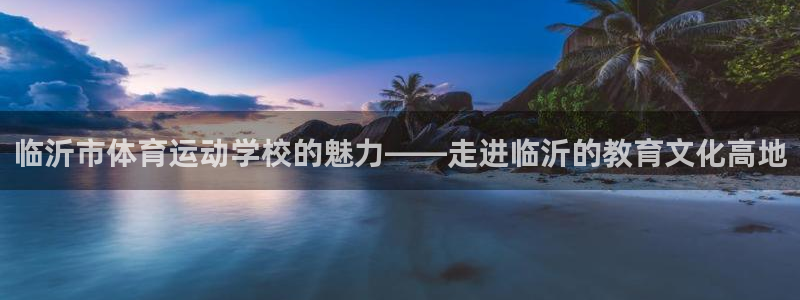 3377体育官网下载平台注册流程图:临沂市体育运动学校的魅力